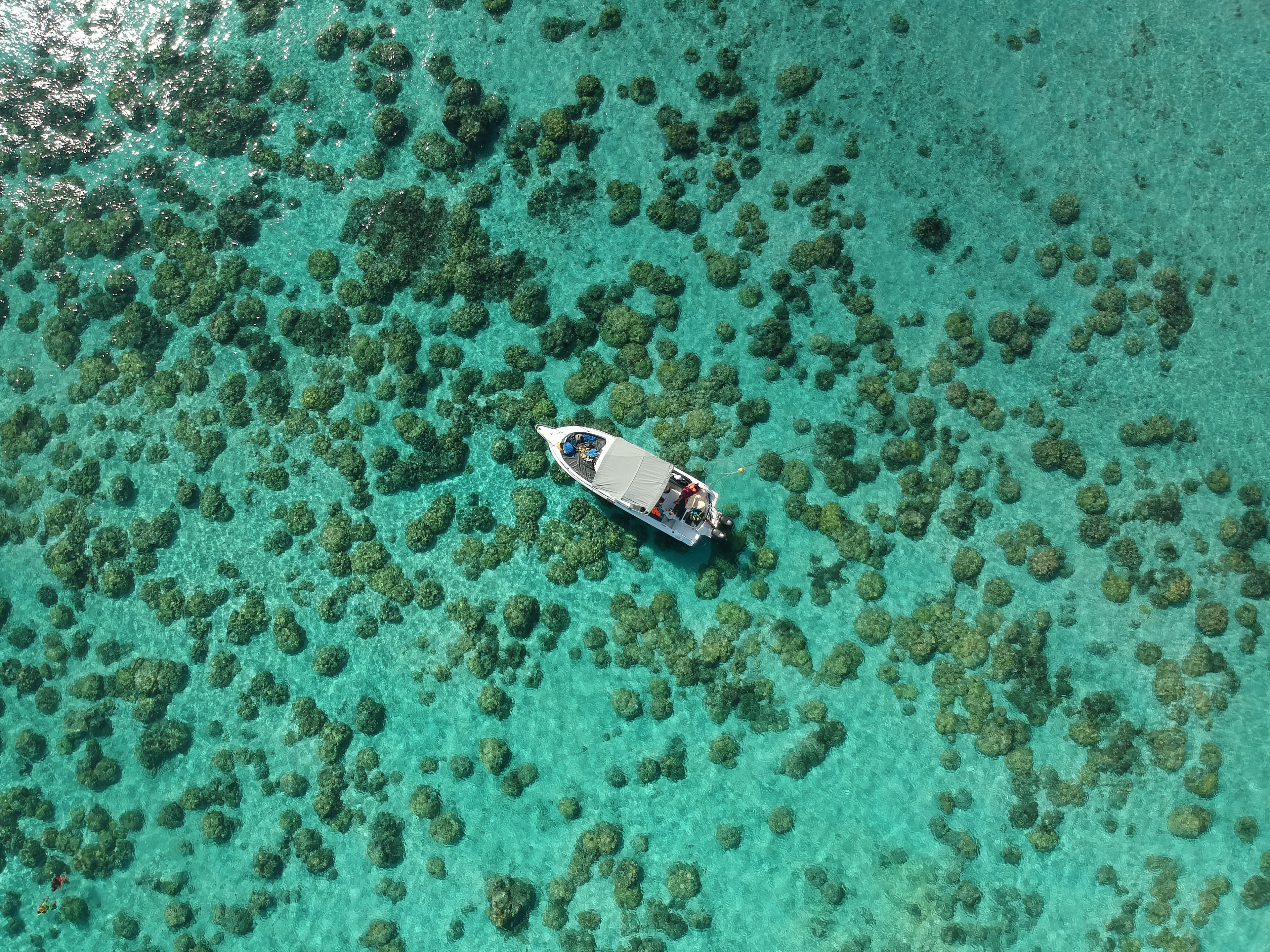 Mauritius lagoon texture
