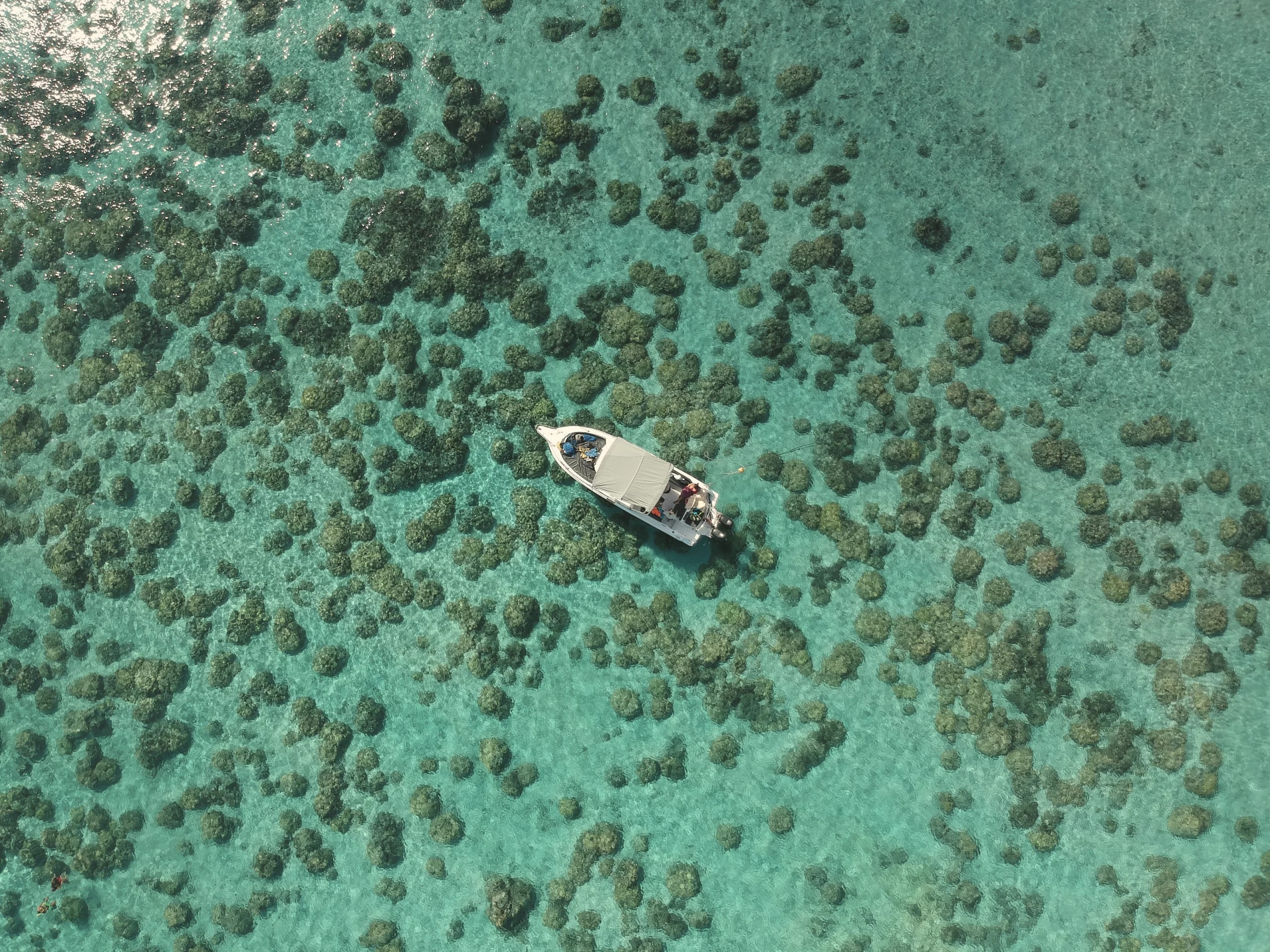 Boat over coral reef in clear lagoon water, Mauritius